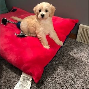 Meet your Posher, Angela