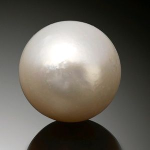 Meet your Posher, Mabel