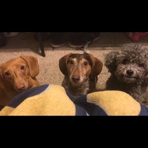 Meet your Posher, Rebecca