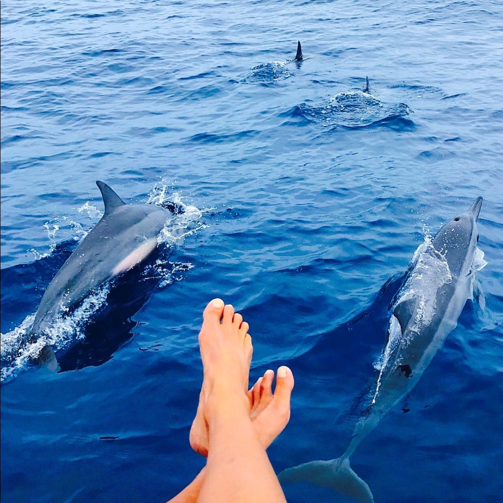 Meet your Posher, Tati