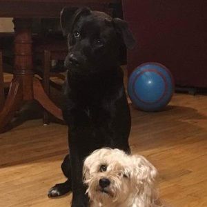 Meet your Posher, Claudio