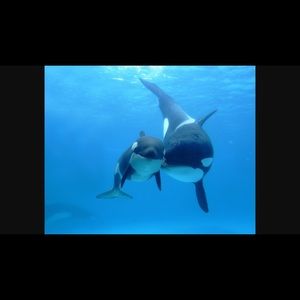 Meet your Posher, Sharon