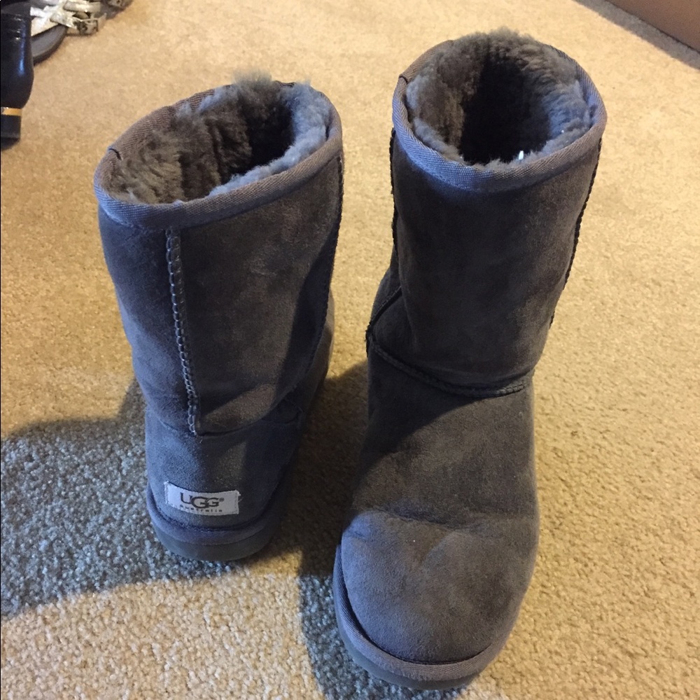 Grey short Uggs