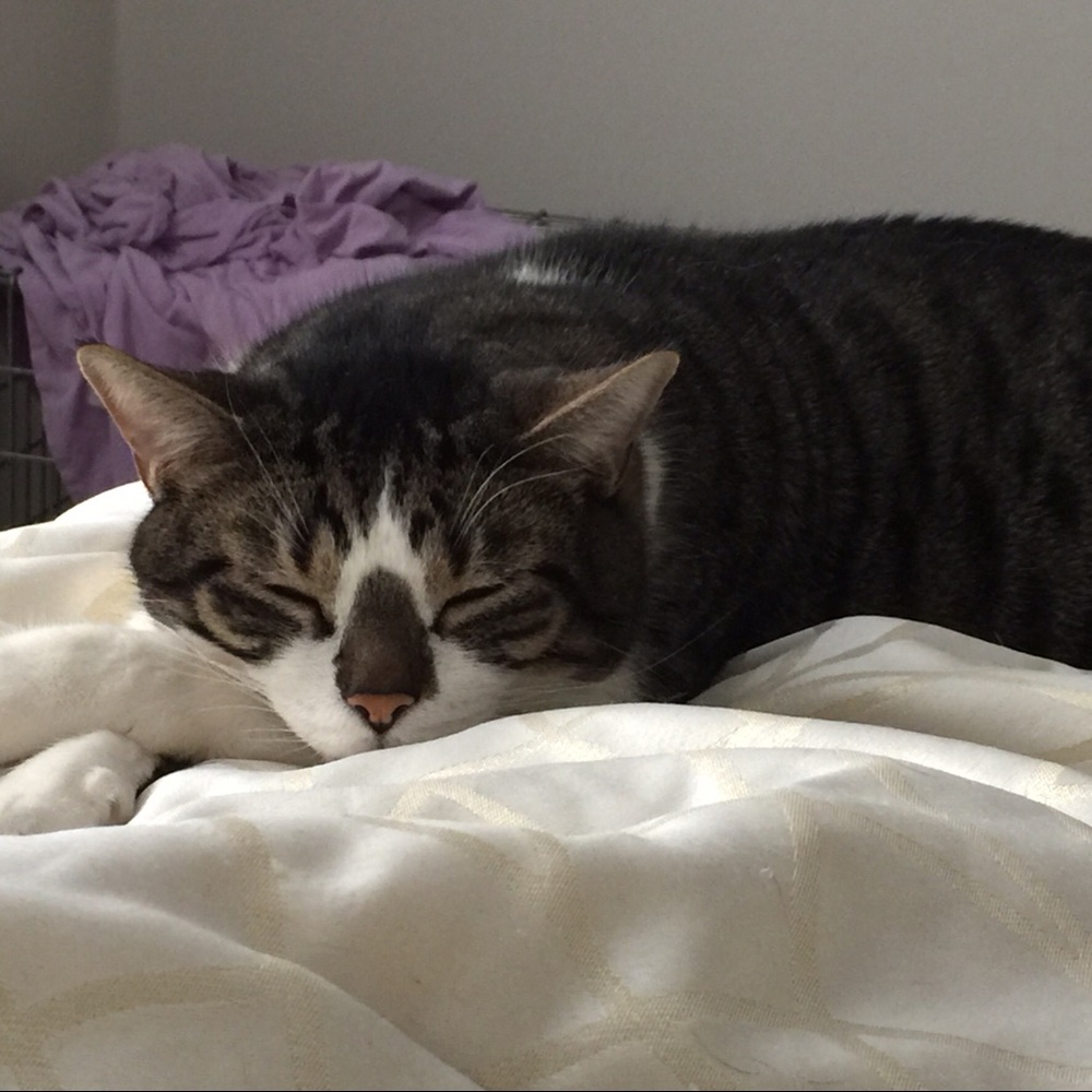 Meet your Posher, Bethany