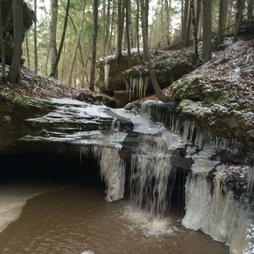 Meet your Posher, Betsy