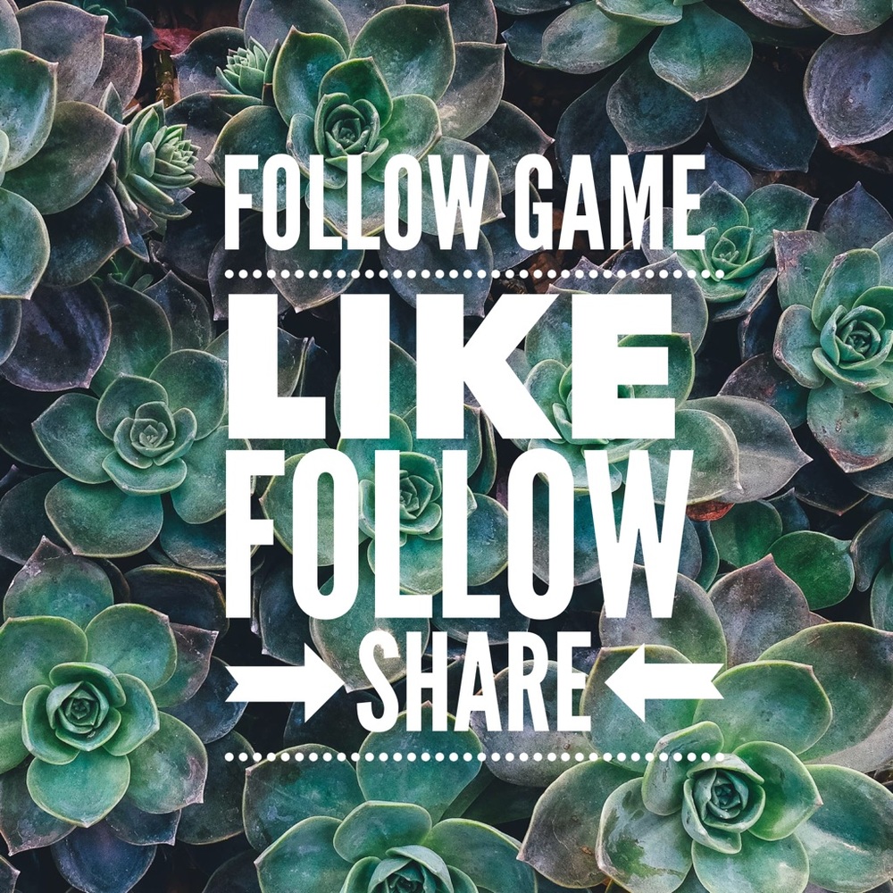 Follow Game!