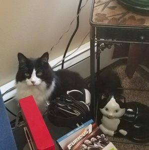 Meet your Posher, Briana