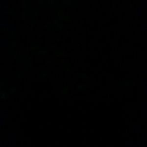 Meet your Posher, Shanell