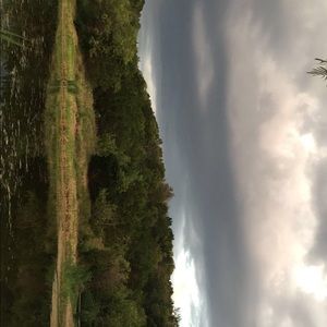 Meet your Posher, Erlinda