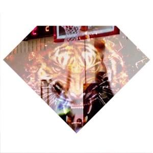 Meet your Posher, Blake