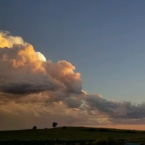 Meet your Posher, Shelby