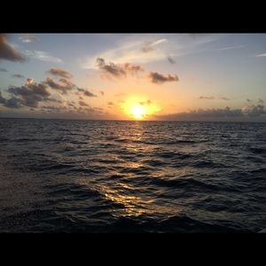 Meet your Posher, Victor