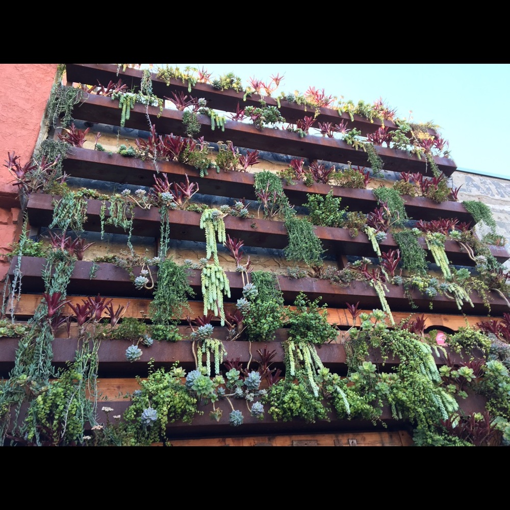 Meet your Posher, Yve