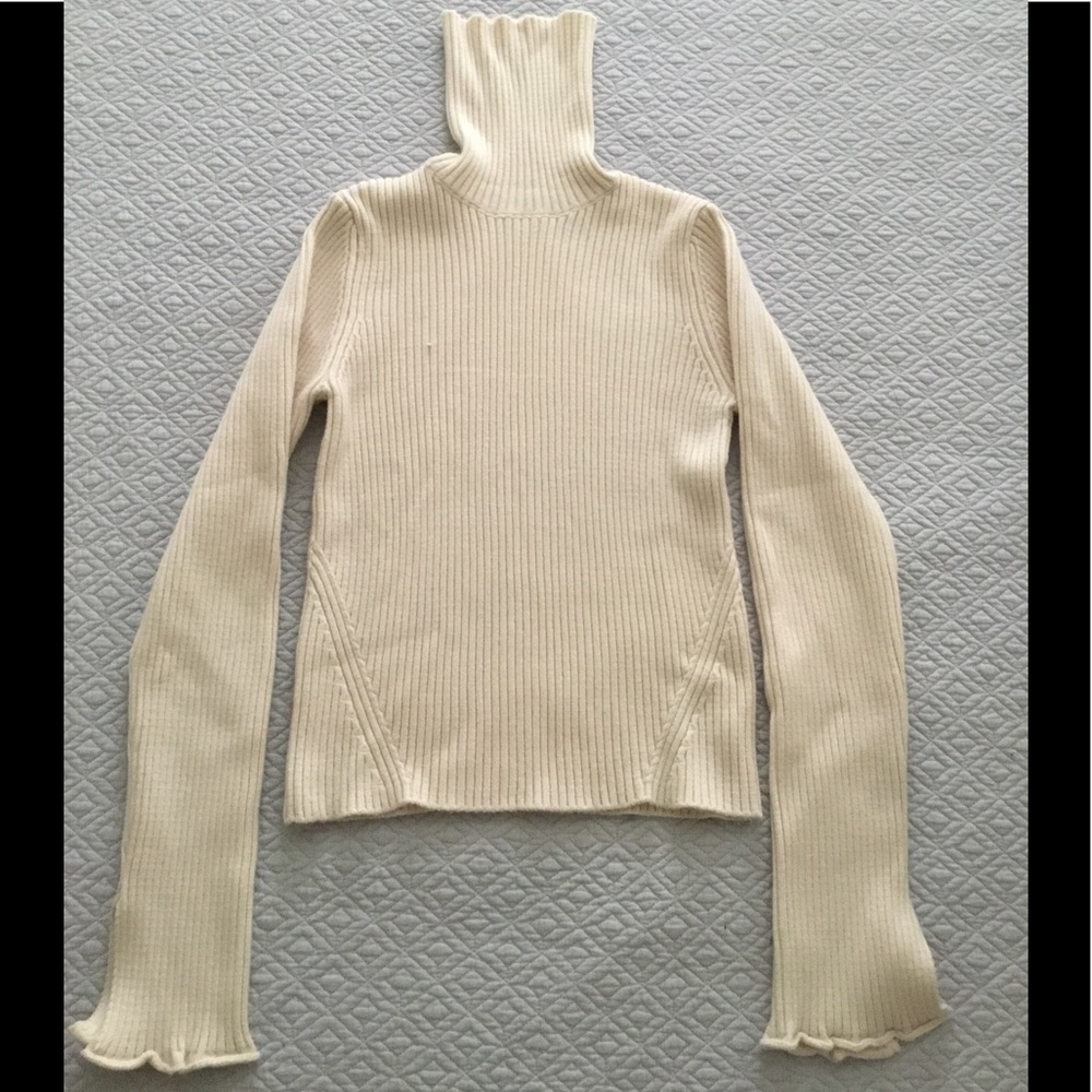 Zara Turtleneck