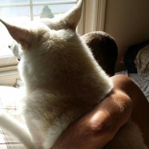 Meet your Posher, Cody