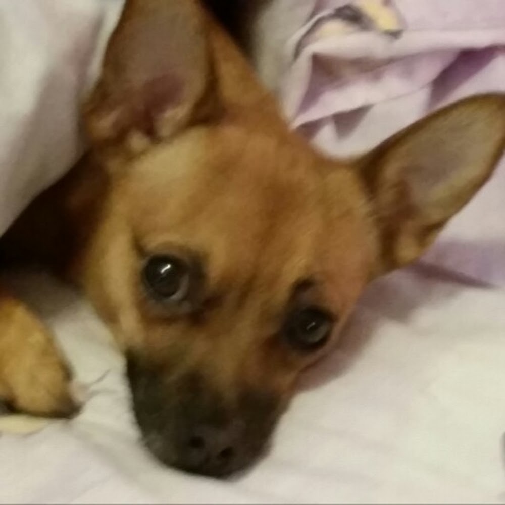 Meet your Posher, Tina