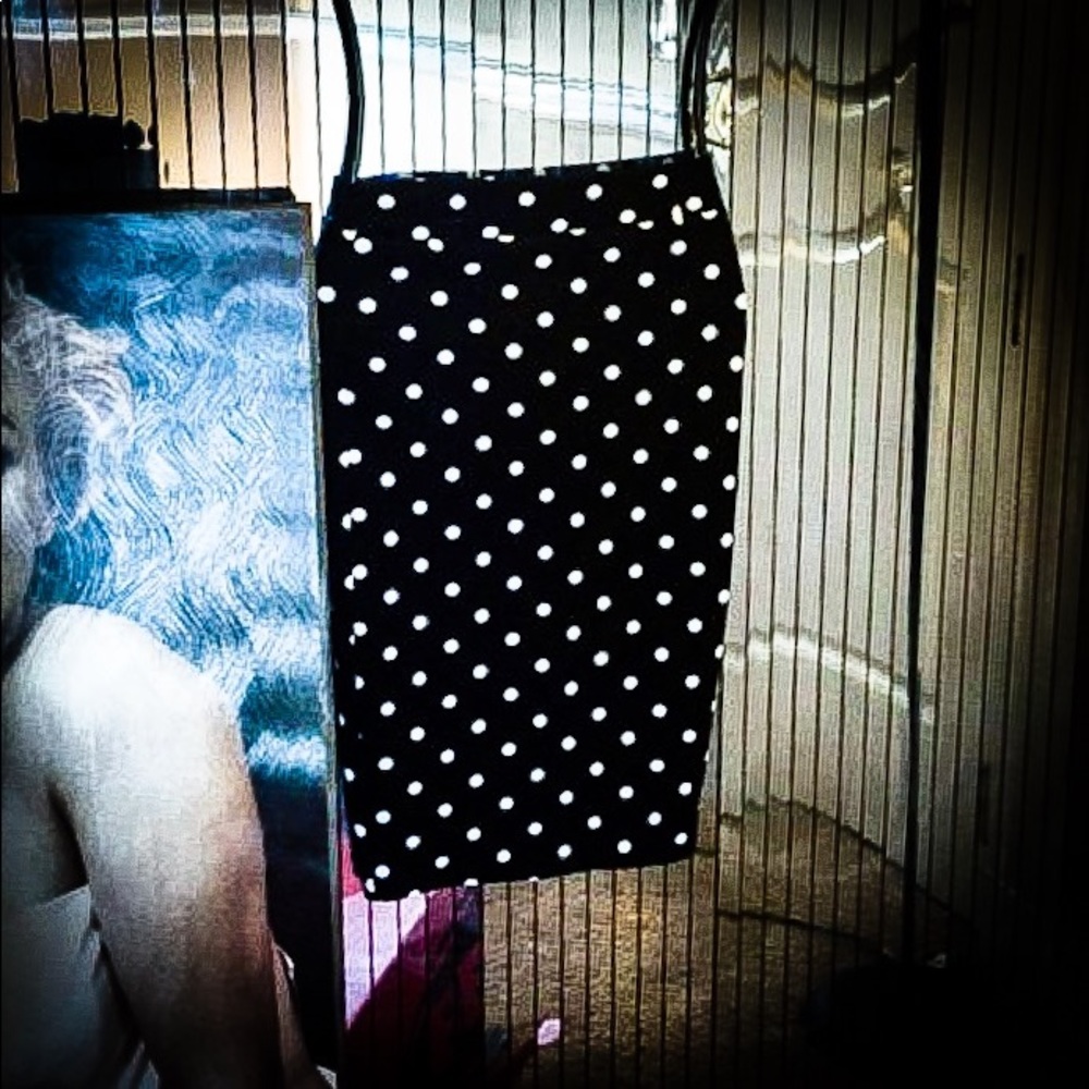 High-Waisted Polka Dot Pencil Skirt Size S