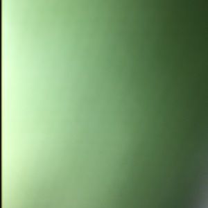 Meet your Posher, Antonio