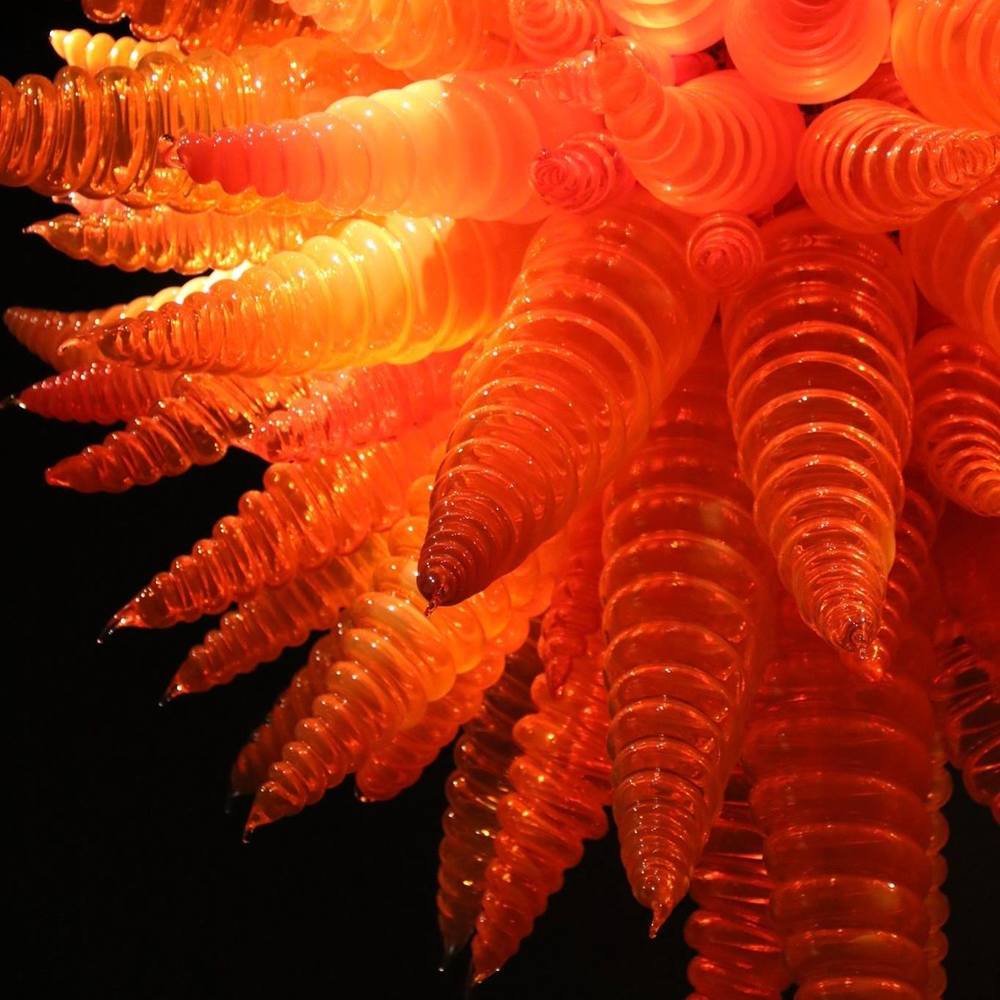 Meet your Posher, Tami