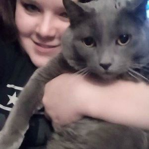 Meet your Posher, Bree