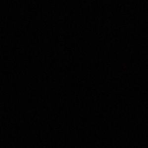 Meet your Posher, Monique