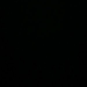 Meet your Posher, Travis