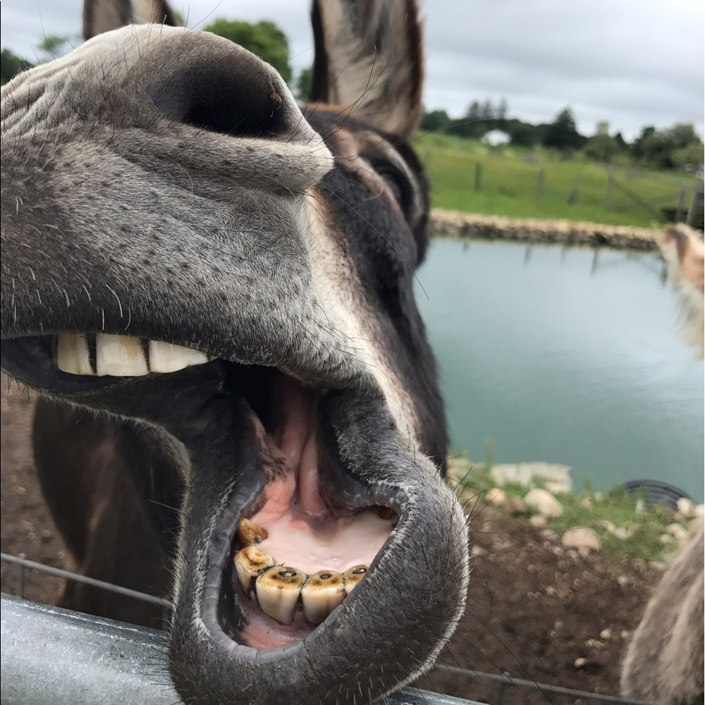 Meet your Posher, Sara