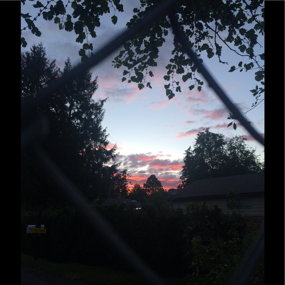 Meet your Posher, Daniela