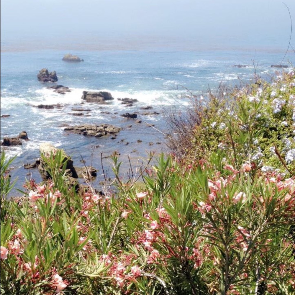 Meet your Posher, Erika