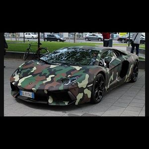 Meet your Posher, Sasha