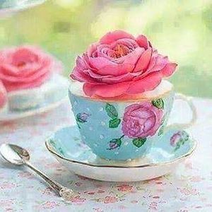 Meet your Posher, Frances