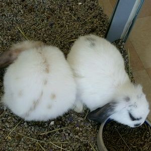 Meet your Posher, Kerry