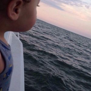 Meet your Posher, Pedro