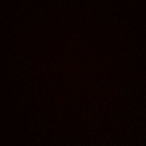 Meet your Posher, Marsha