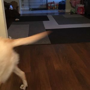 Meet your Posher, Marilynn