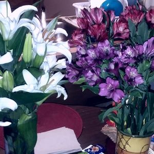 Meet your Posher, Beverly