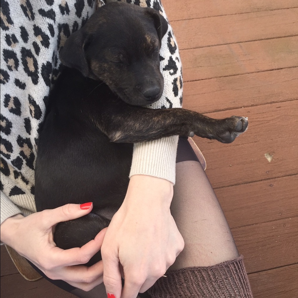 Meet your Posher, Sabina