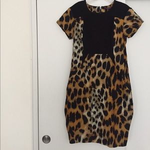 Leopard print knee length dress