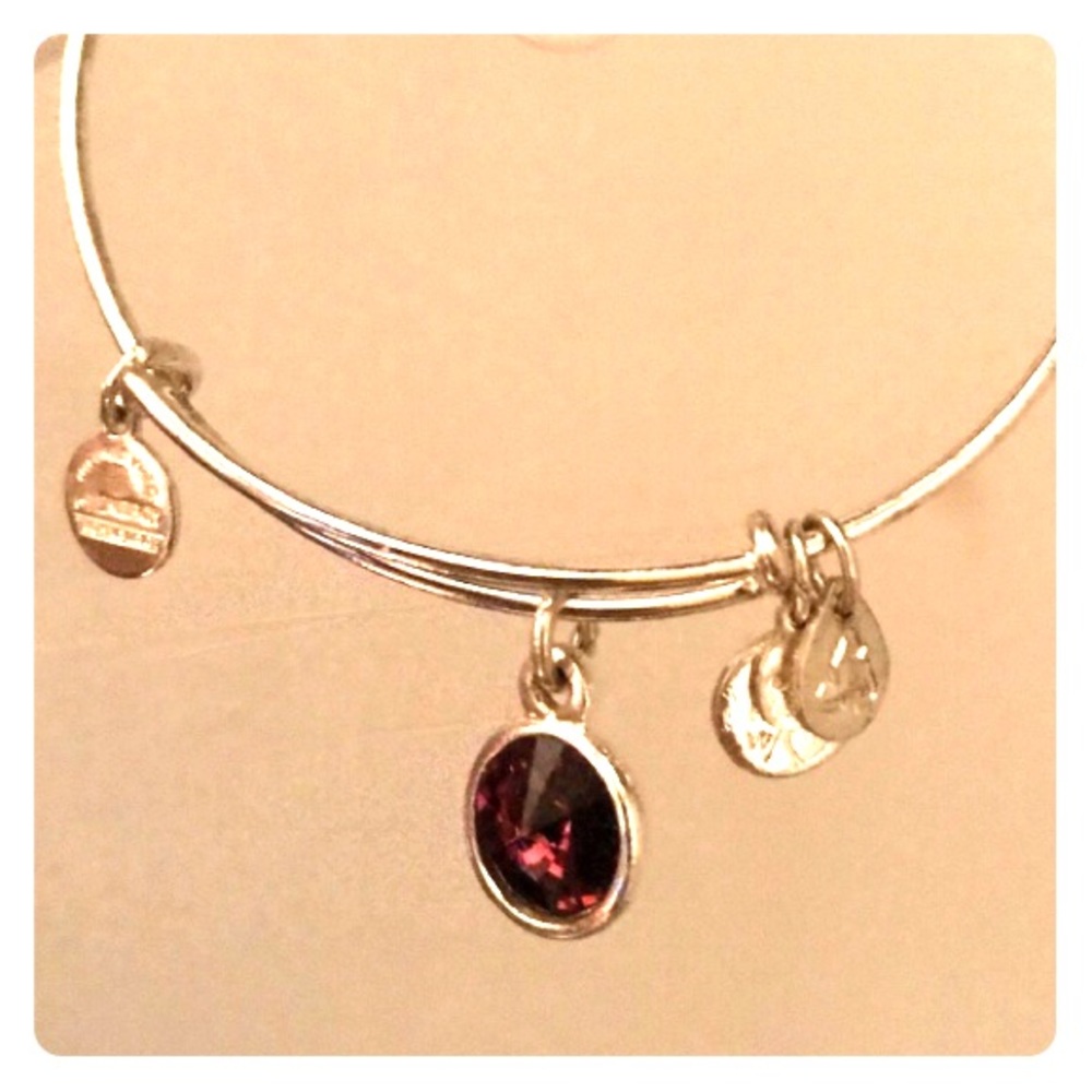 Alex&Ani amethyst charm bracelet