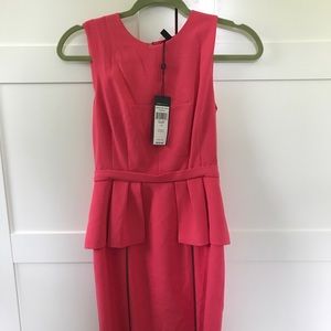 New with tags BCBG dress