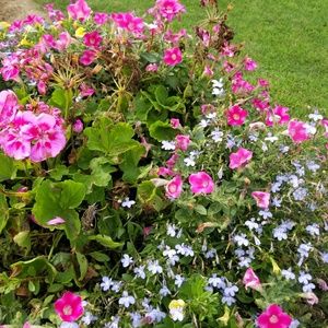 Meet your Posher, Sky