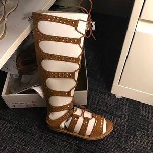 Brown Gladiator Sandals