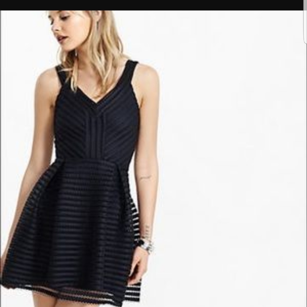 NWT Express Mesh Pleated Fit and Flare Dress