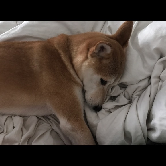 Meet your Posher, Malgorzata - Picture 1 of 1