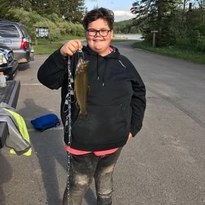 Meet your Posher, Jonas