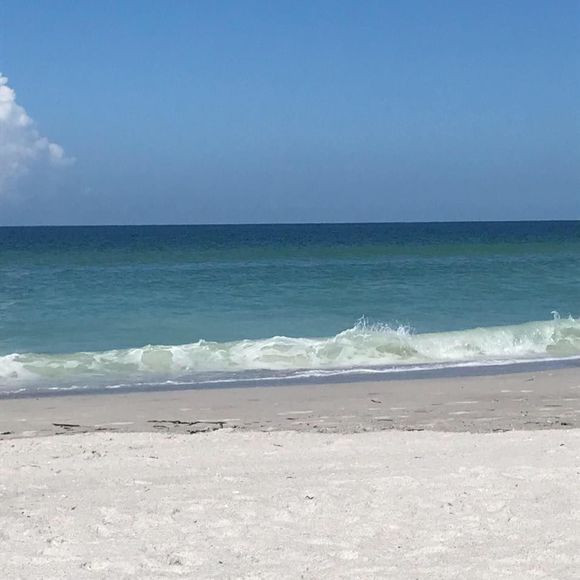 Meet your Posher, Melissa - Picture 1 of 1