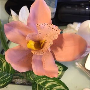 Meet your Posher, Gail