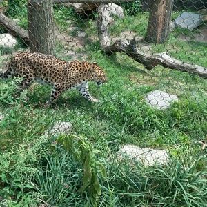 Meet your Posher, Donald