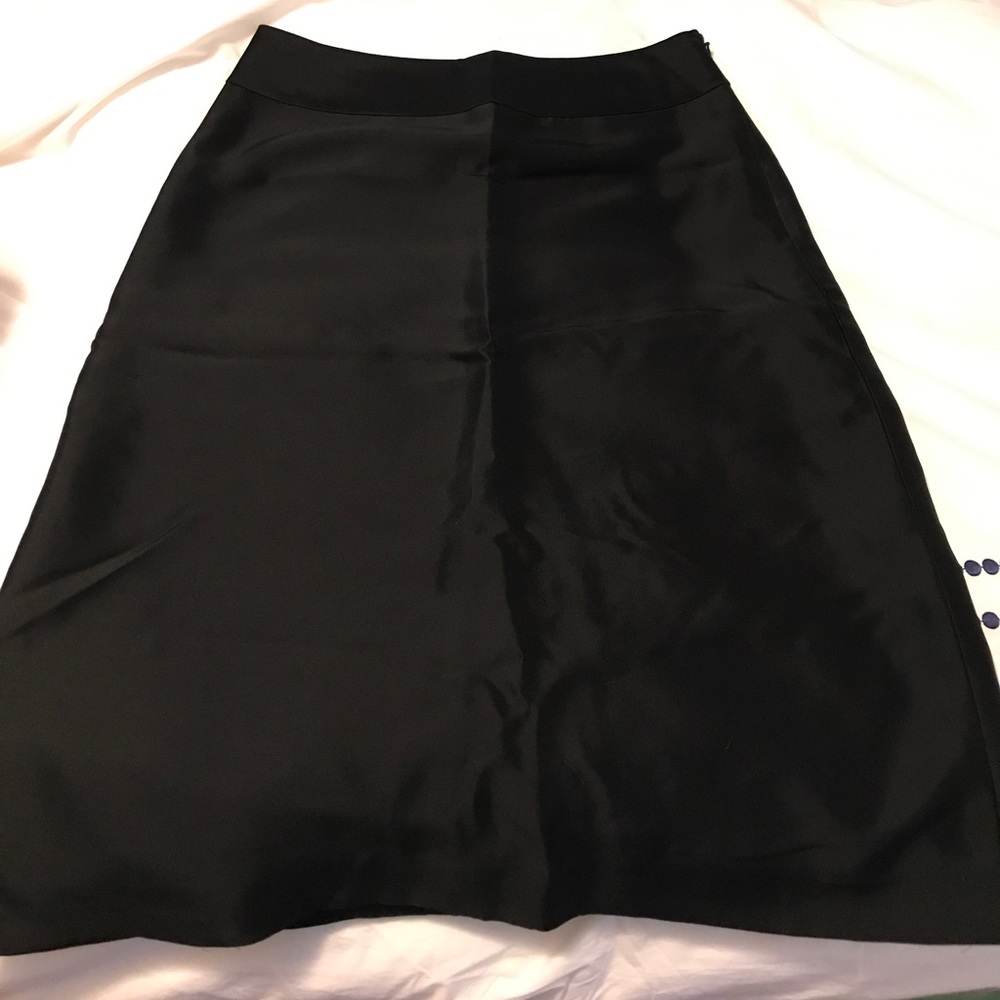 Ann Taylor skirt