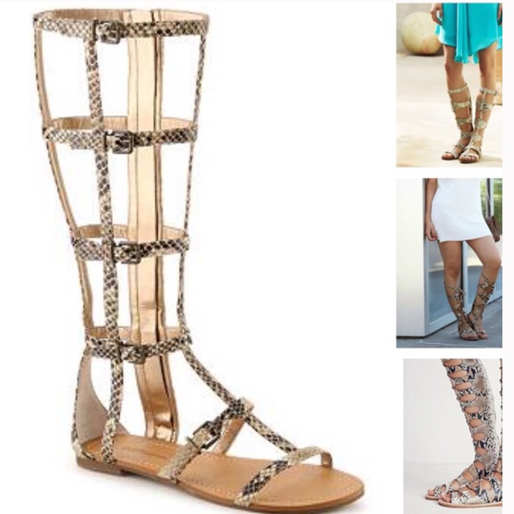 Bcbgeneration - image 1